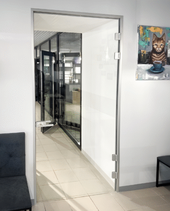 ADRIANO Classic|двері скляні міжкімнатні в алюмінієвому коробі прозорі (12) купити з доставкою в Україні - splenko.com