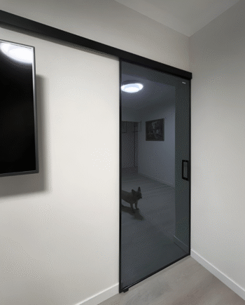 DAVID Black|glass sliding door made of tinted glass graphite