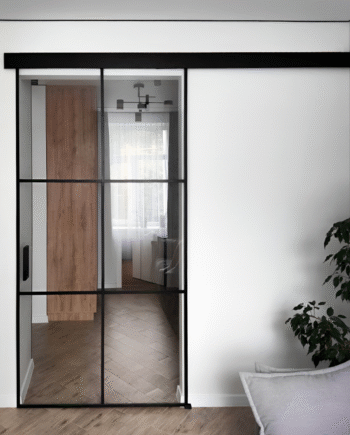 DAVID Loft|двері скляні розсувні з розділенням смугами та прозорим склом