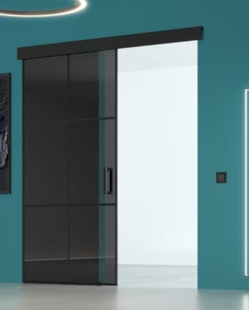 DAVID Loft|двері скляні розсувні з розділенням молдингами графіт (6) купити з доставкою в Україні - splenko.com