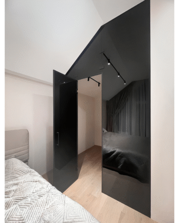 FELIX Black|перегородка межкомнатная для гардероба на петлях со срезом на потолке из стекла триплекс графит
